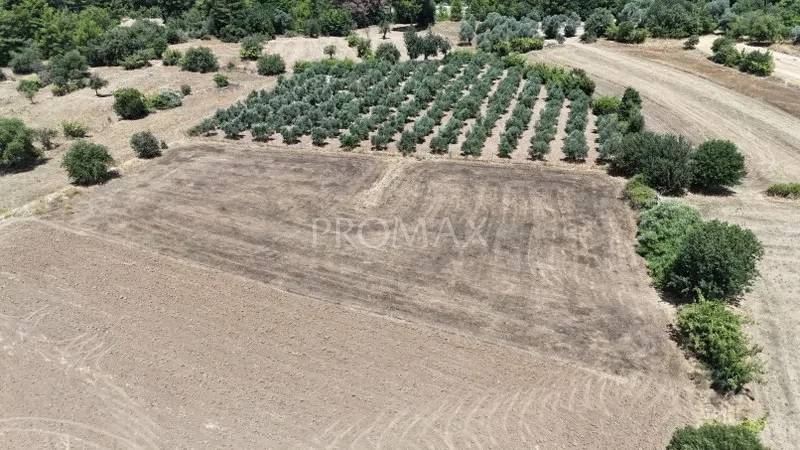 PROMAX - BU FİYATA BÖYLESİ YOK !! KARABÖRTLEN'DE 1.777 m2 ARAZİ