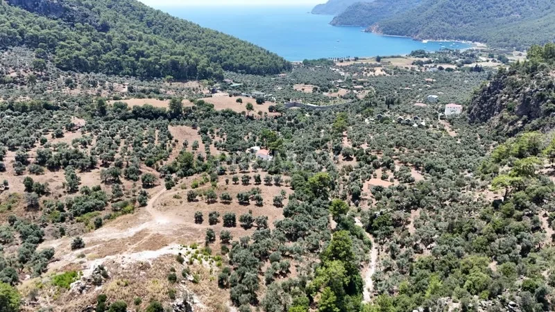 KÖYCEĞİZ EKİNCİK'TE 2.465 m2 MUHTEŞEM ARAZİ "DENİZE YAKIN"