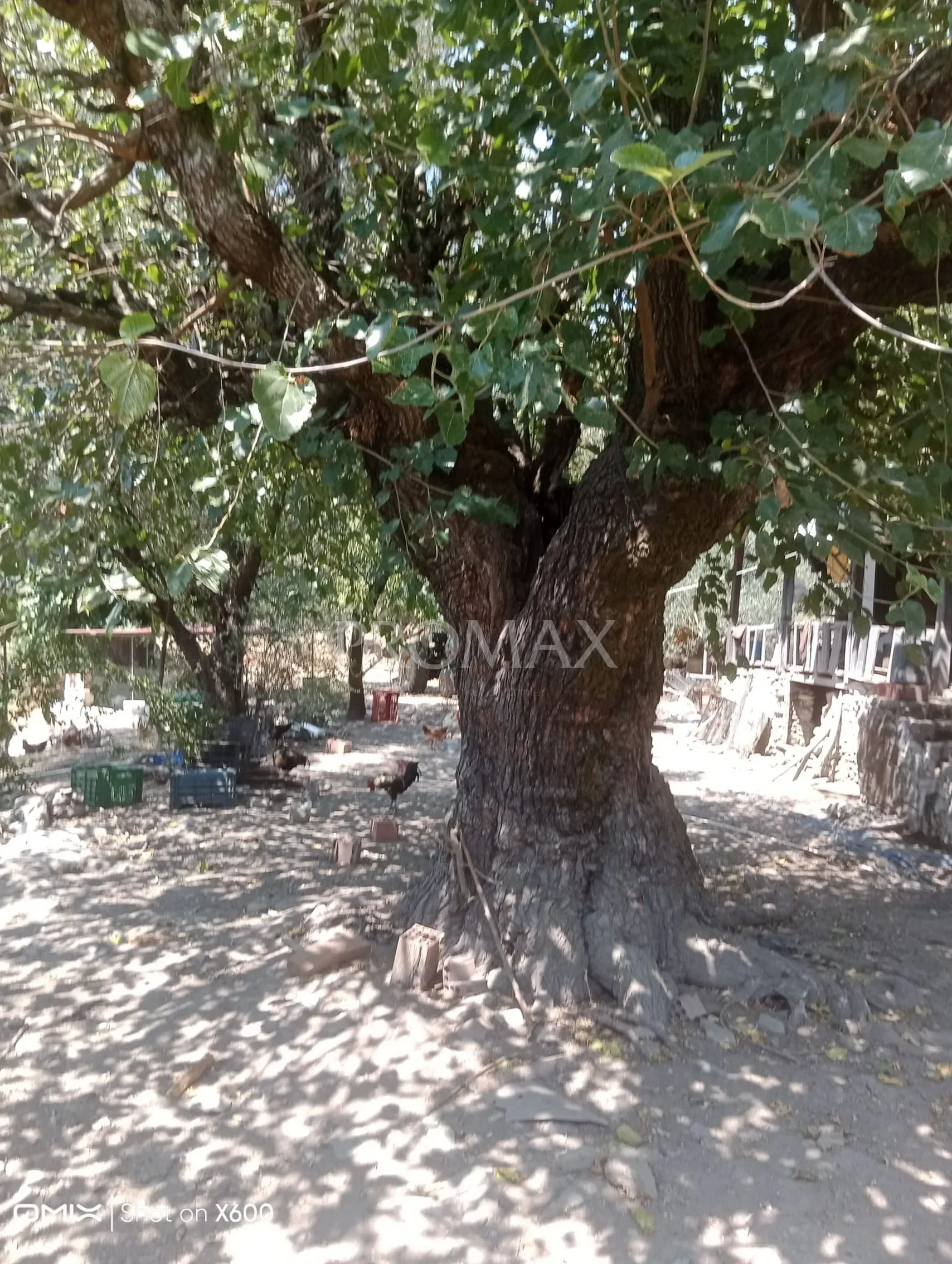 ULA ELMALI 2 VİLLA İMARLI ARSA