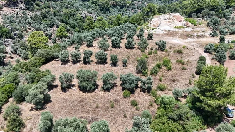 KÖYCEĞİZ EKİNCİK'TE 2.465 m2 MUHTEŞEM ARAZİ "DENİZE YAKIN"