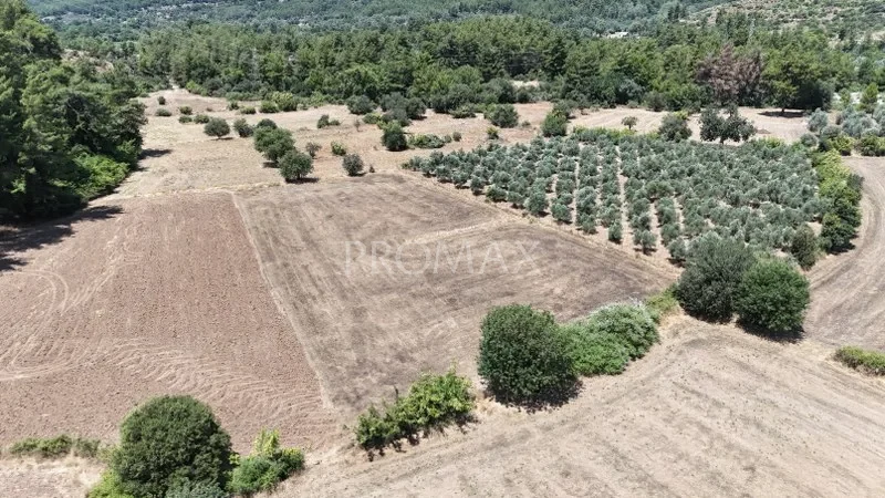 PROMAX - BU FİYATA BÖYLESİ YOK !! KARABÖRTLEN'DE 1.777 m2 ARAZİ