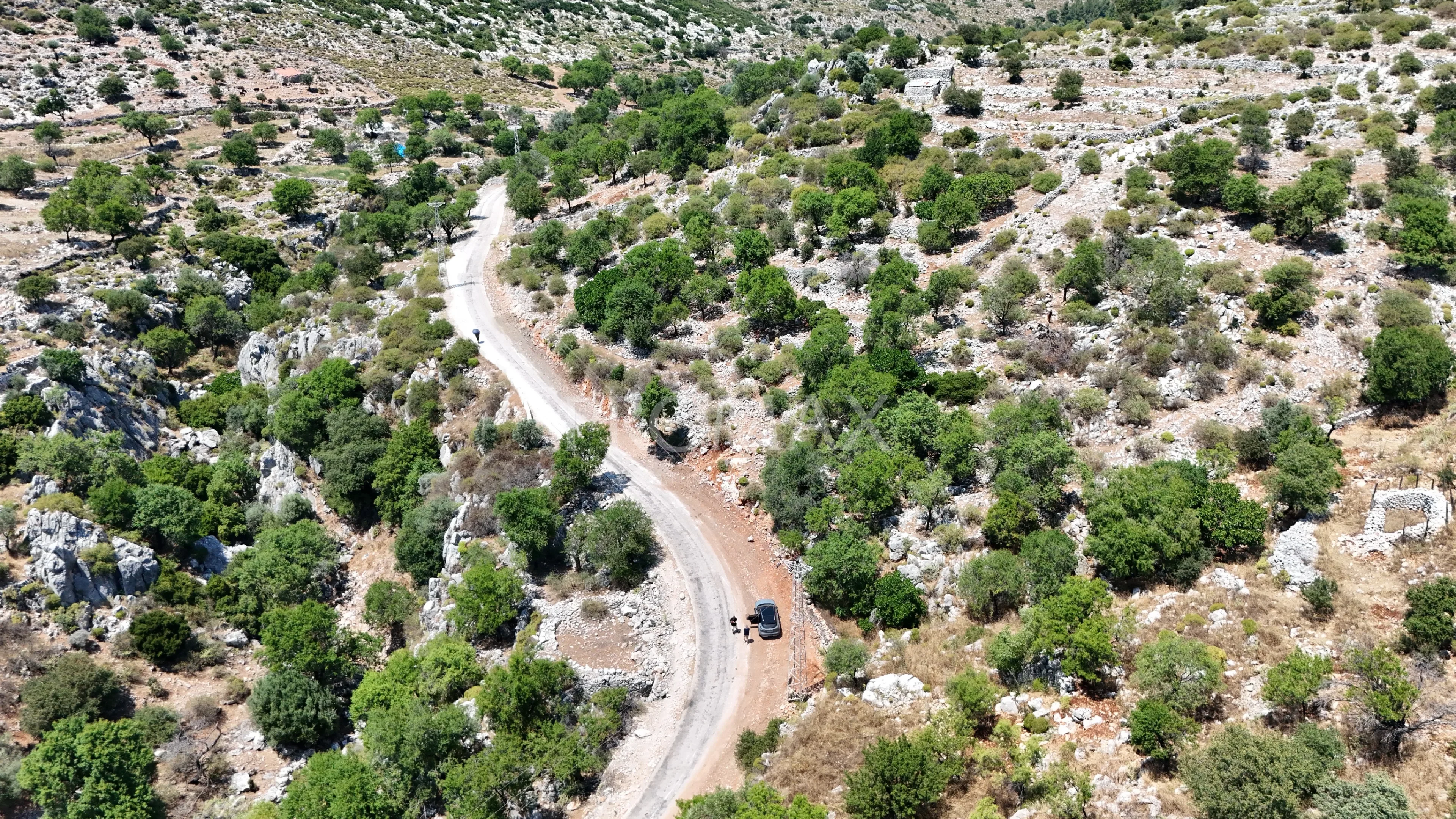 SERÇE LİMANI YAKININDA, YOLA CEPHELİ FIRSAT TARLA!