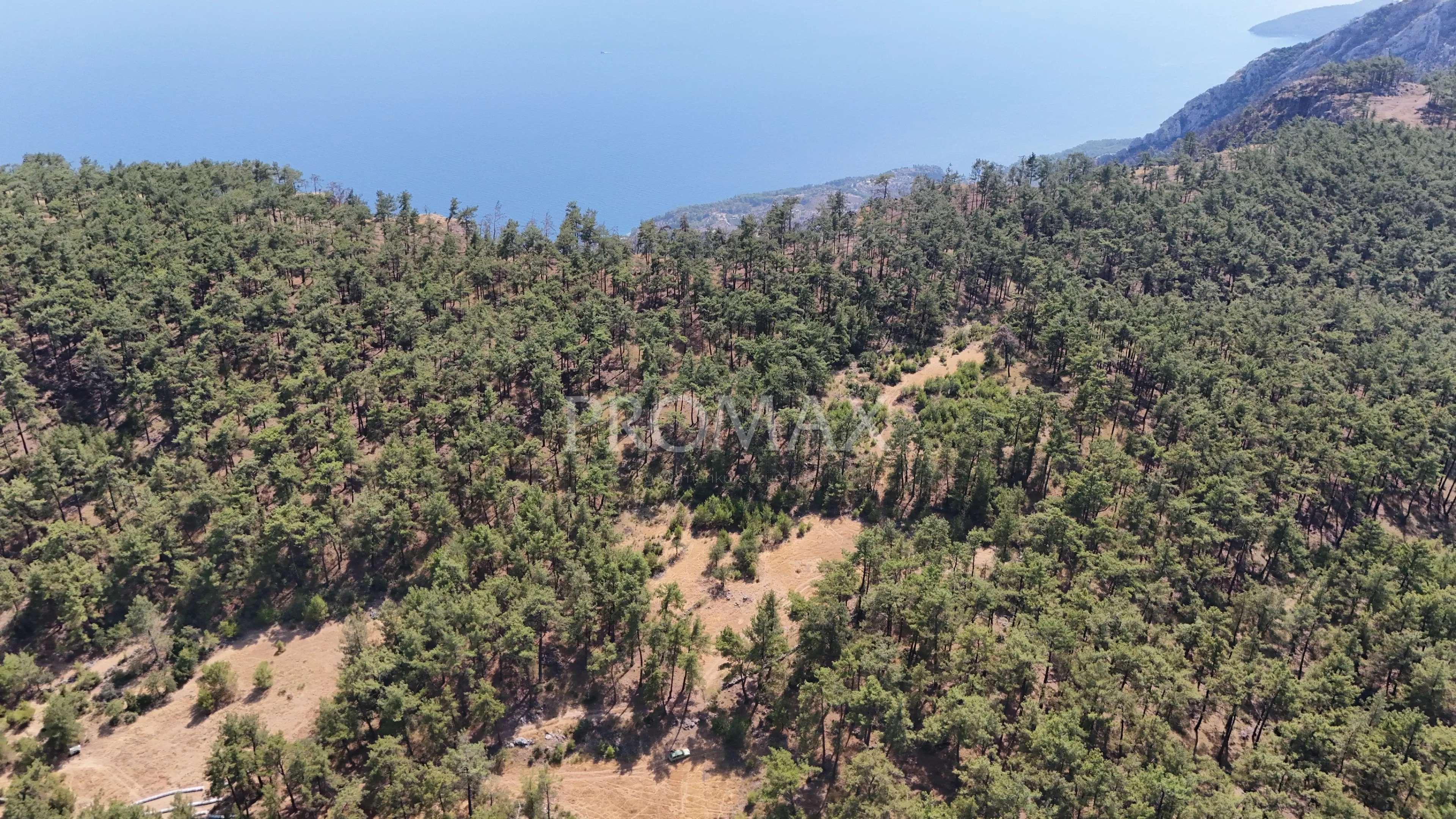 MUĞLA MENTEŞE KIRAN’DA ARICILIK İÇİN İDEAL 4.033 m² ARAZİ