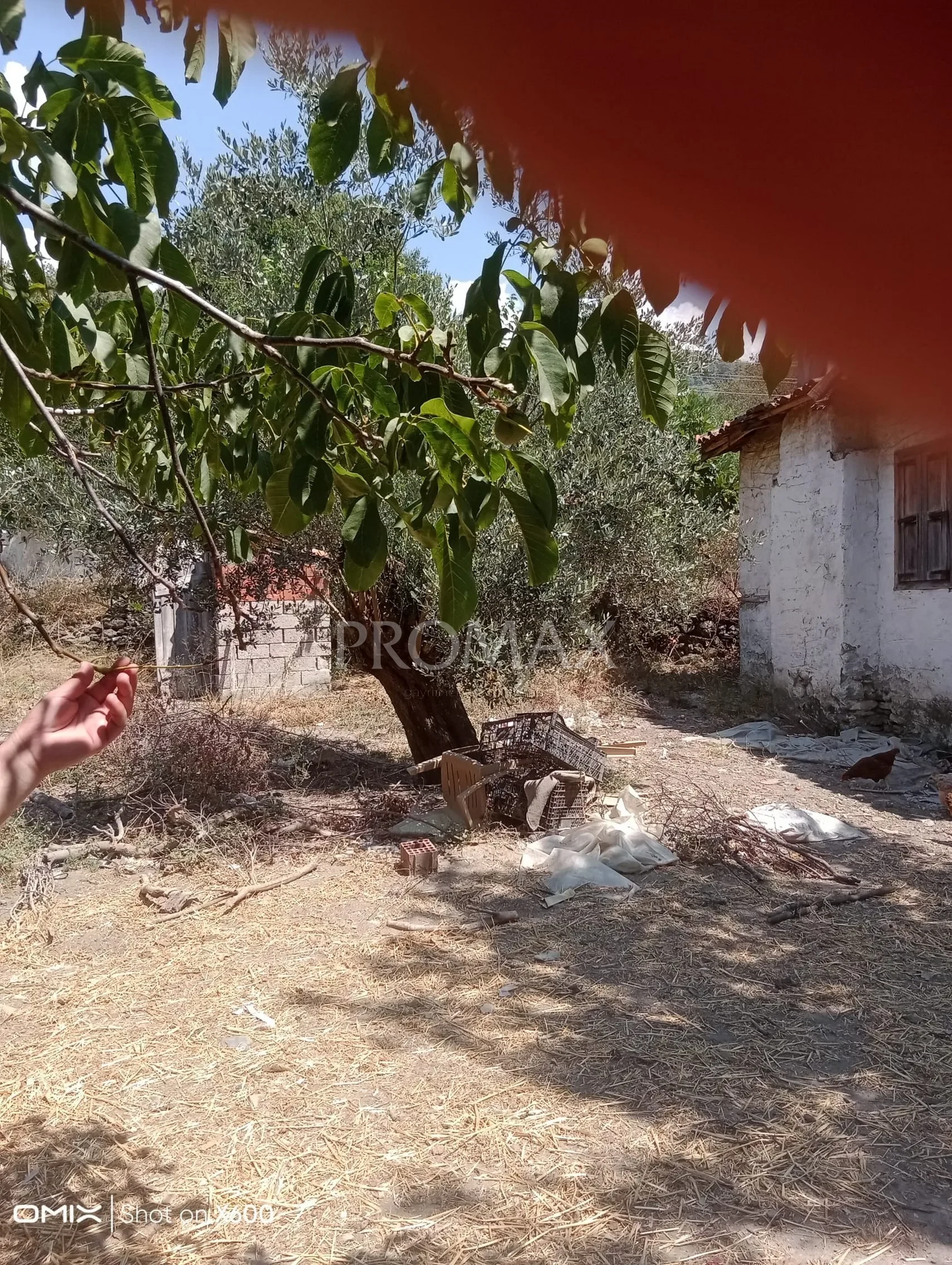 ULA ELMALI 2 VİLLA İMARLI ARSA