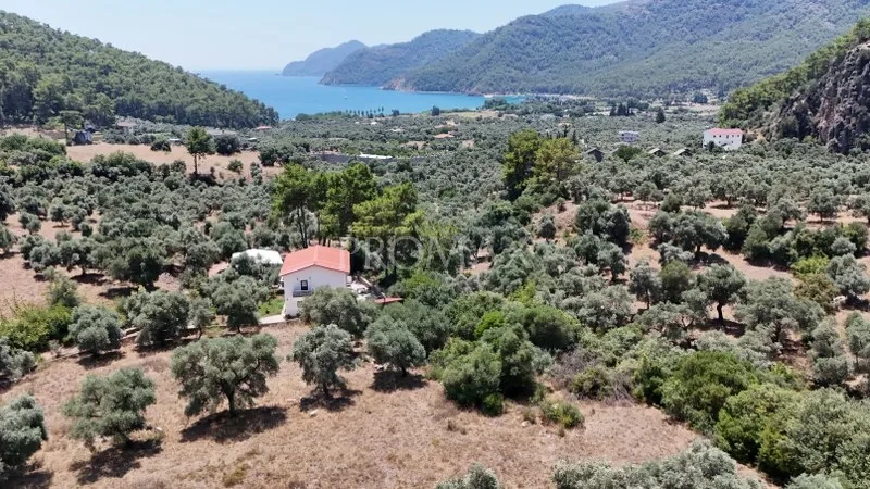 KÖYCEĞİZ EKİNCİK'TE 2.465 m2 MUHTEŞEM ARAZİ "DENİZE YAKIN"
