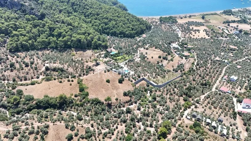 KÖYCEĞİZ EKİNCİK'TE 2.465 m2 MUHTEŞEM ARAZİ "DENİZE YAKIN"