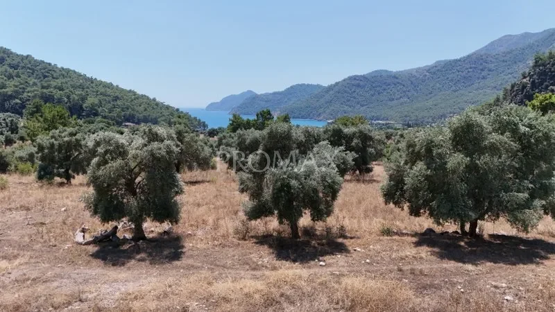 KÖYCEĞİZ EKİNCİK'TE 2.465 m2 MUHTEŞEM ARAZİ "DENİZE YAKIN"