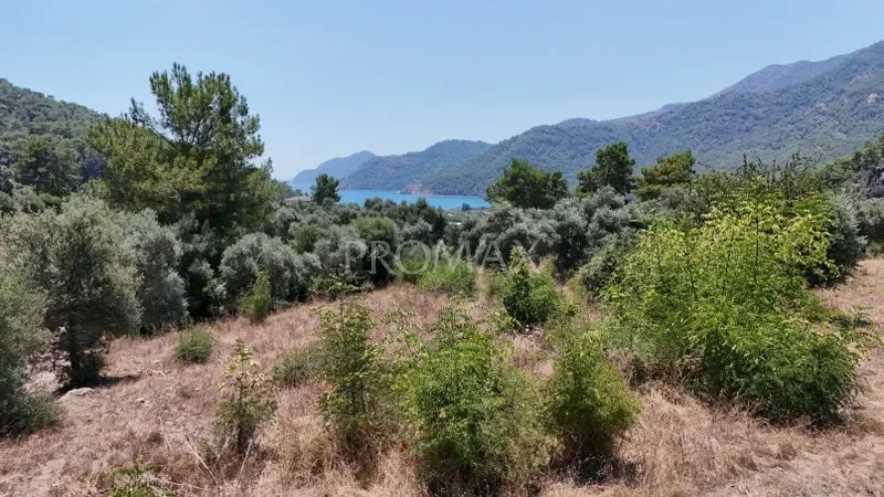 KÖYCEĞİZ EKİNCİK'TE 2.465 m2 MUHTEŞEM ARAZİ "DENİZE YAKIN"