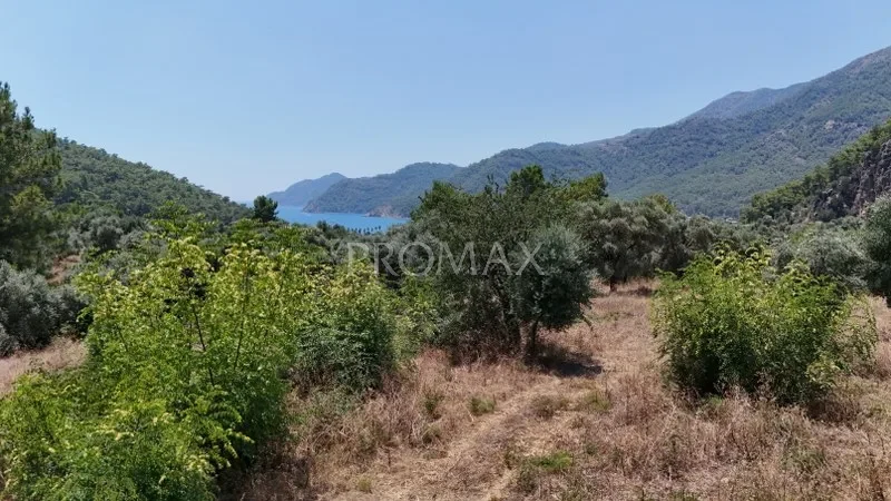 KÖYCEĞİZ EKİNCİK'TE 2.465 m2 MUHTEŞEM ARAZİ "DENİZE YAKIN"