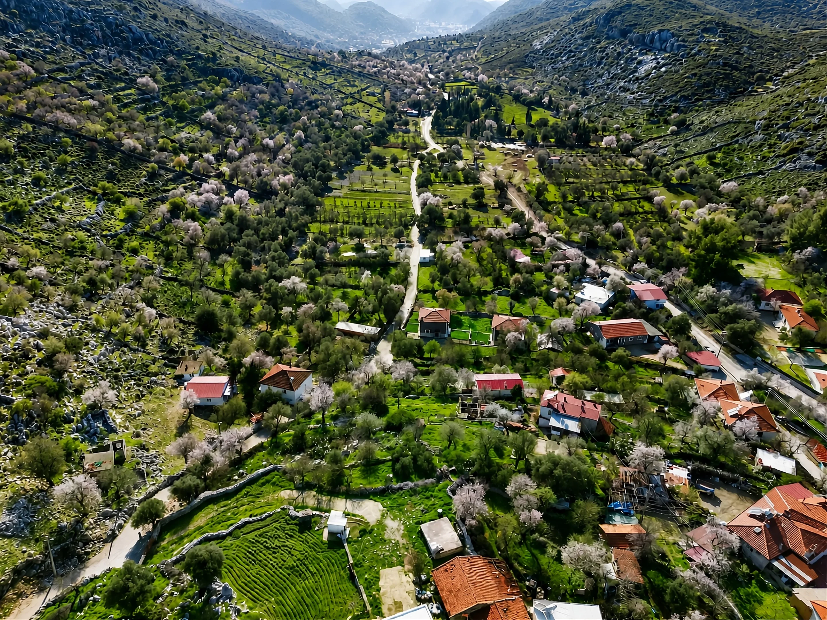 Taşlıca bölge görseli
