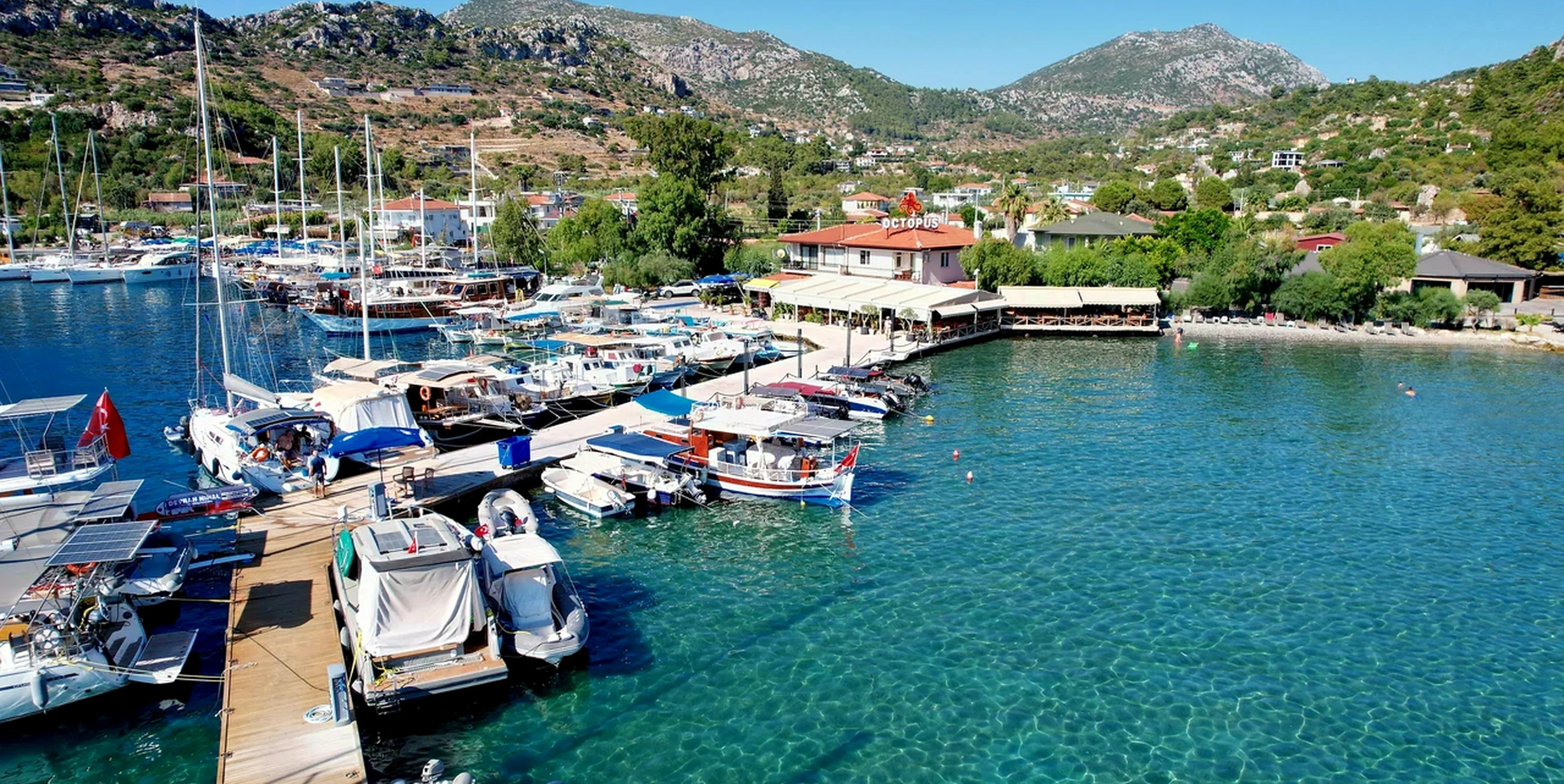 Söğüt bölge görseli