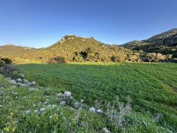 Marmaris - Söğüt Satılık