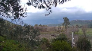 Marmaris - Çamlı Satılık