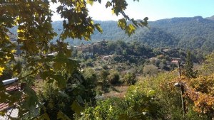 Marmaris - Bayır Satılık