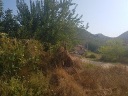 Marmaris - Taşlıca Satılık