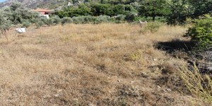 Marmaris - Turgut Satılık