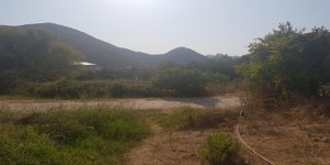 Marmaris - Söğüt Satılık