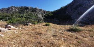 Menteşe - Kötekli Satılık