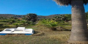 Ula - Çıtlık Satılık