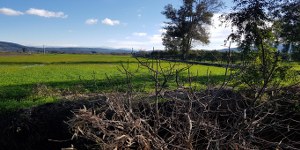 Menteşe - Algı Satılık