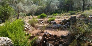 Marmaris - Taşlıca Satılık