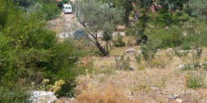 Marmaris - Osmaniye Satılık