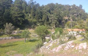 Marmaris - Bayır Satılık