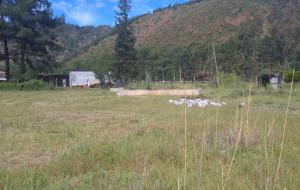 Marmaris - Söğüt Satılık