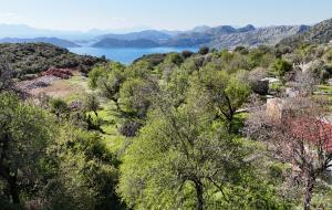 Marmaris - Söğüt Satılık