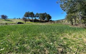 Menteşe  - Fadıl Satılık