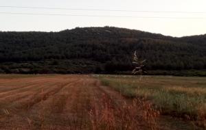 Ula  - Karabörtlen Satılık