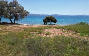 Menteşe  - Kıran Satılık