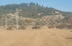 Menteşe  - Kozağaç Satılık