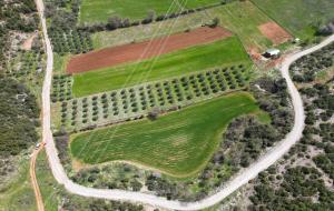 Menteşe - Gülağzı Satılık