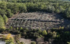 Ula  - Armutcuk  Satılık