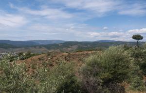 Menteşe  - Yerkesik Satılık