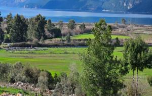 Ula  - Gökçe Satılık