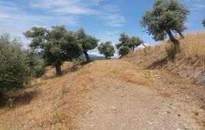 Menteşe - Yerkesik Satılık