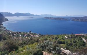 Marmaris - Söğüt Satılık