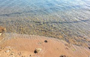 Menteşe  - Kuyucak Satılık