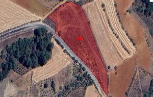 Menteşe  - Kuzluk  Satılık