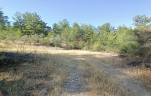 Menteşe - Gazeller Satılık