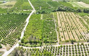 Köyceğiz - Toparlar  Satılık