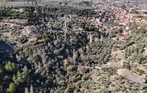 Menteşe - Yeşilyurt Satılık Arsa